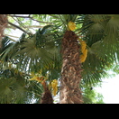 In dem kleinen botanischen Garten vor unserer Unterkunft